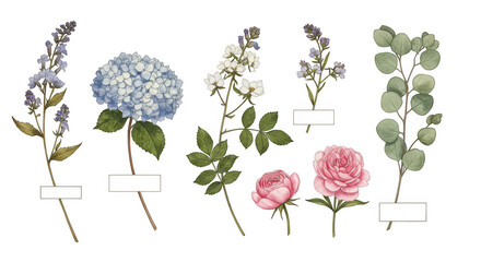 Fototapeta premium Floral Assortment of Delicacy: A botanical collection showcasing an array of delicate blooms, each rendered with intricate detail, celebrates the timeless beauty of floral design. 