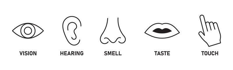 Human senses icon set. Vision eye, smell nose, hearing ear, touch hand, taste mouth with tongue. Simple line icons in circle. Five senses of human nervous system. set of five senses icon.