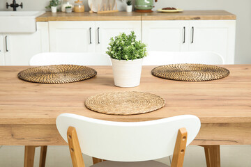 Wooden dining table with houseplant and wicker mats in stylish kitchen