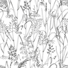 Wild grasses seamless pattern vector