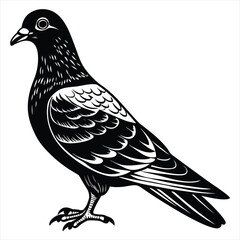 Fototapeta premium Pigeon Illustration,Black and White Vintage Woodcut Style Bird Vector Design,Pigeon vector,Pigeon design,Pigeon concept,Pigeon cartoon,Pigeon icon,Pigeon template,Pigeon art,Pigeon topics,Pigeon 