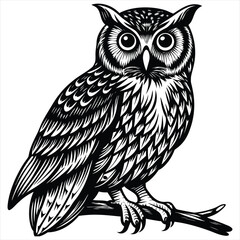 Owl Illustration,Black and White Vintage Woodcut Style Bird Vector Design,
Owl vector,Owl design,Owl concept,Owl cartoon,Owl icon,Owl template,Owl art,Owl topics,Owl doodle