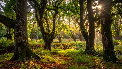 Naklejka premium Sunlight streams through trees in a lush, vibrant green forest scene