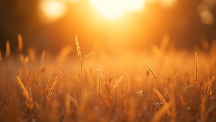 Fototapeta premium Warm photorealistic autumn background with rich seasonal colors, soft natural light, and cinematic depth. Perfect for advertising visuals. AI Generated.