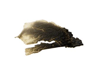 Senegal Map Golden Metallic Texture Map Gold Reserves And Gold Mining Concept 3D