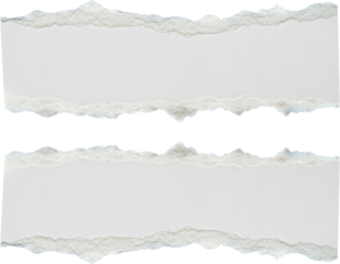 Torn paper White ripped paper strips collection. Realistic paper scraps with torn edges. Sticky notes, shreds of notebook pages. Vector illustration. realistic torn paper edges vector collection paper