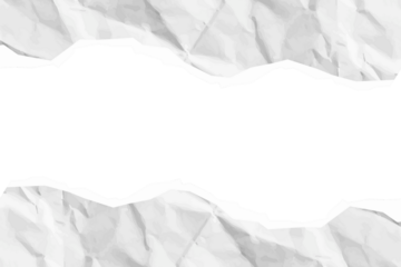 Torn paper White ripped paper strips collection. Realistic paper scraps with torn edges. Sticky notes, shreds of notebook pages. Vector illustration. realistic torn paper edges vector collection paper