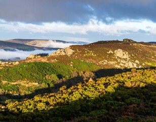 Scenic View of Rolling Hills Under a Cloudy Sky