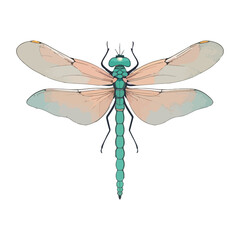 Dragonfly