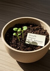 Young plant sprouting in pot with inspirational note “Growth begins with patience”