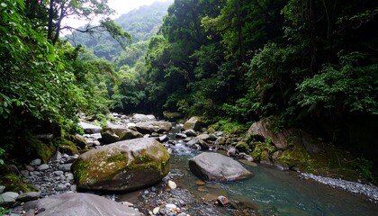 Serene river flowing through lush green forested mountains