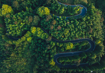 Aerial view of beautiful forest mountain and winding road landscape