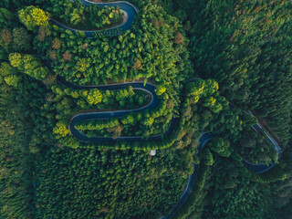 Aerial view of beautiful forest mountain and winding road landscape