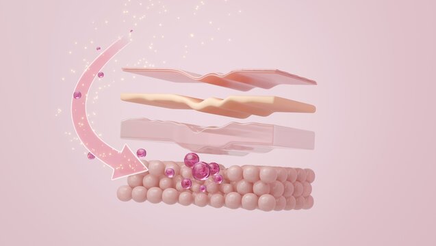 PDRN Salmon DNA Molecule Absorption in Skin Layer, 3D Illustration