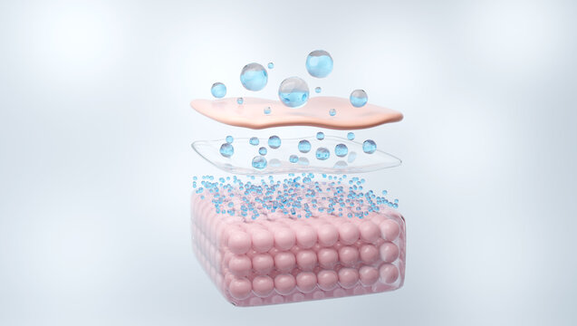 Multi Size Hyaluronic Acid Molecules Drop on Skin, 3D Illustration