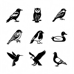 set of birds