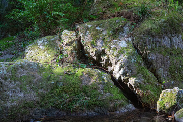 マイナスイオンたっぷりの滝と渓谷