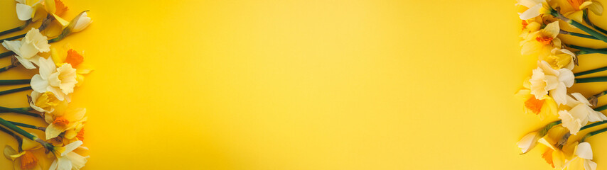 Fototapeta premium Wide yellow background with daffodils, perfect for website headers.