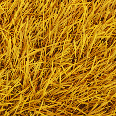 Golden Straw Background with Natural Dry Grass Texture