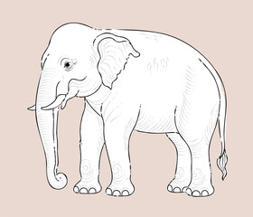 Obraz premium An Elephant line art hand drawn vector illustration with clean file 