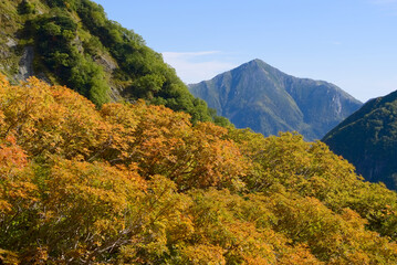 北アルプス、初秋の涸沢と常念岳