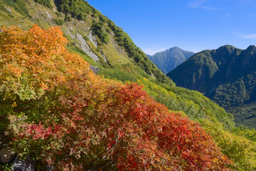 北アルプス、涸沢の紅葉