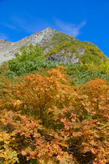 北アルプス、涸沢の紅葉と北穂高岳