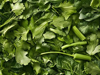 Fresh Green Celery and Parsley Leaves Background Texture