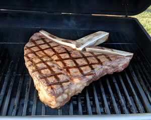 Delicious Grilled Steak on BBQ Grill, Closeup Shot
