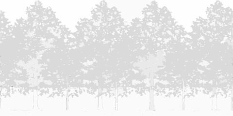 Obraz premium Monochromatic row of trees with detailed foliage against a white background