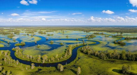 Panoramic aerial view of a cypress swamp.  Vast network of waterways and islands.  Clear blue sky, fluffy clouds