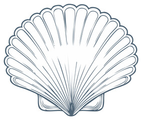 Elegant Outline of a Scallop Shell with Detailed Ribs and a Stylized Border