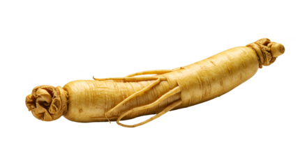 Isolated Realistic Ginseng Root on Transparent Background PNG