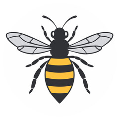 Fototapeta premium Stylized cartoon bee with black and yellow stripes and translucent wings