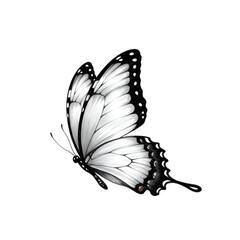 Isolated realistic illustration of a black and white butterfly with detailed wings