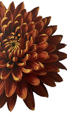 Isolated Realistic Illustration Of A Dalia Flower In Red And Gold