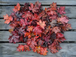 Autumn Maple Leaves on Rustic Wooden Background