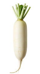 Photo of a White Daikon Radish Isolated on Transparent Background