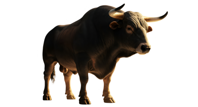 Photo Realistic Bull Isolated Background Natural Lighting