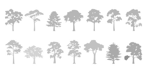 Collection of diverse grey tree silhouettes on a white background representing various species and shapes