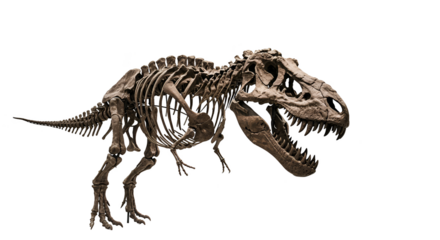 Isolated realistic Tyrannosaurus Rex skeleton on black background with colored digital glitch effect