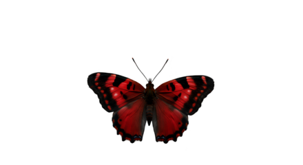 Isolated red butterfly with black markings on transparent background