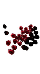 Isolated Red Pomegranate Seeds on Black Background Photo