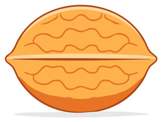Stylized Walnut Illustration Featuring Distinct Ridges and a Smooth Shell