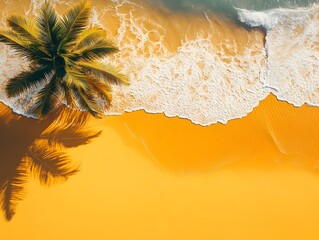 Aerial View Tropical Palm Tree Beach Ocean Waves Golden Sand Summer Vacation