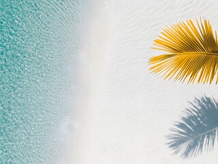 Tropical Beach Scene, Palm Leaf on White Sand and Turquoise Water
