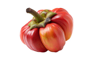 A single fresh ripe red gogosar pepper with a unique shape.