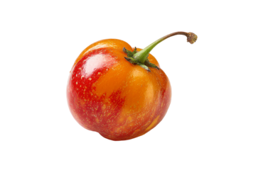 A single ripe red and orange tamarillo fruit with stem.
