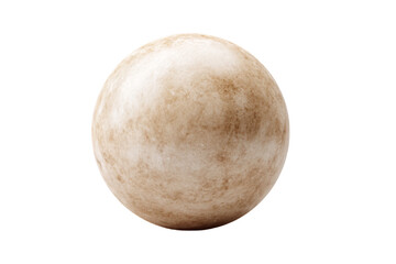 Fototapeta premium A single whole round daikon radish with earthy skin.