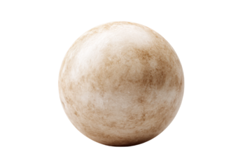 A single whole round daikon radish with earthy skin.